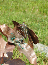 Load image into Gallery viewer, Handcrafted Large Copper Metal "Turtle and Friends" Sculpture